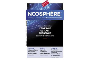 REVUE NOOSPHÈRE N°20