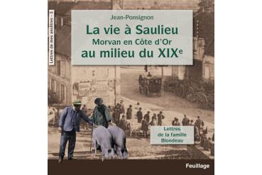 LA VIE À SAULIEU Morvan en Côte d'Or au milieu du XIX° siècle - tome 3
