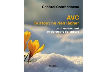 AVC SURTOUT NE RIEN LÂCHER - un cheminement entre ombre et lumière