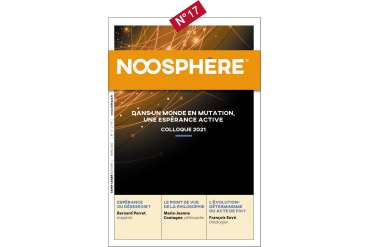 REVUE NOOSPHÈRE N°17
